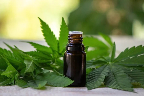 Cannabis Ört Och Blad För Behandling Buljong Tinktur Extrakt Olja — Stockfoto