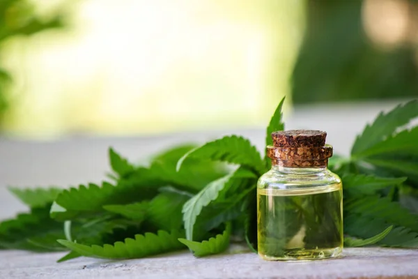 Cannabis Herb Leaves Treatment Broth Tincture Extract Oil Selective Focus — Stock Photo, Image