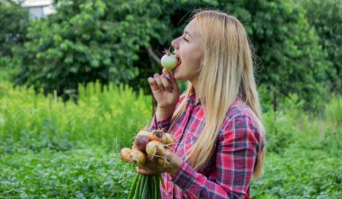 Bir kadının ellerinde bir demet taze soğan. Çiftlikte hasat et. Doğa. Seçici odak