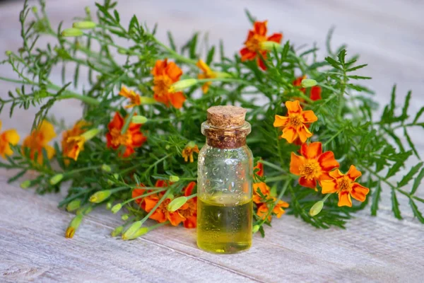 Marigold Oil Essential Oils Nature Selective Focus — Stock Photo, Image