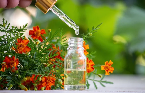 Marigold Oil Essential Oils Nature Selective Focus — Foto de Stock