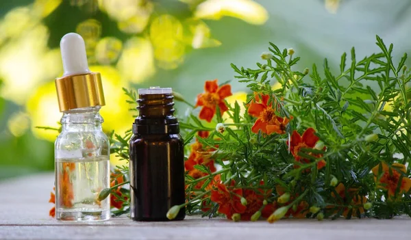 Marigold Oil Essential Oils Nature Selective Focus —  Fotos de Stock