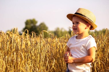 Child in a wheat field hugging a grain harvest. Farm. Nature, Selective focus