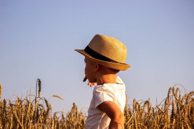 Child in a wheat field hugging a grain harvest. Farm. Nature, Selective focus