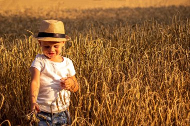 Child in a wheat field hugging a grain harvest. Farm. Nature, Selective focus