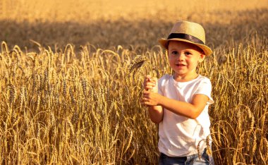 Child in a wheat field hugging a grain harvest. Farm. Nature, Selective focus