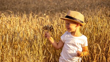 Child in a wheat field hugging a grain harvest. Farm. Nature, Selective focus