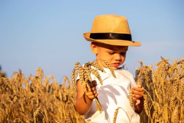 Child in a wheat field hugging a grain harvest. Farm. Nature, Selective focus