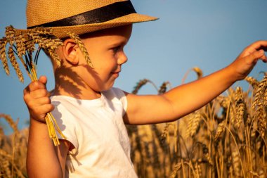 Child in a wheat field hugging a grain harvest. Farm. Nature, Selective focus