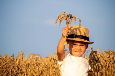 Child in a wheat field hugging a grain harvest. Farm. Nature, Selective focus