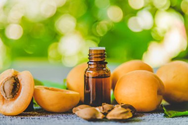 Küçük bir şişede kayısı çekirdeği yağı. Seçici odaklanma. Doğa.