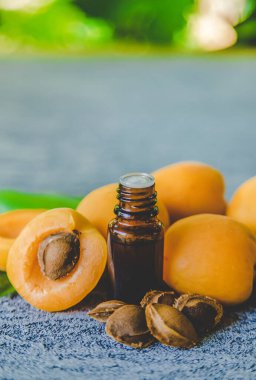 Küçük bir şişede kayısı çekirdeği yağı. Seçici odaklanma. Doğa.
