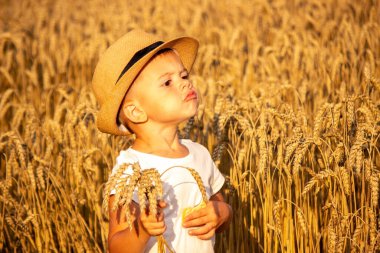 Buğday tarlasında çocuklar kurabiye yer. Doğa. Seçici odak