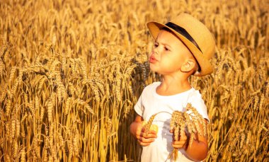 Buğday tarlasında çocuklar kurabiye yer. Doğa. Seçici odak