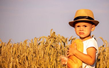 Buğday tarlasında somun yiyen bir çocuk. Doğa. Seçici odak