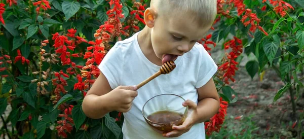 Enfant Mange Miel Dans Jardin Concentration Sélective — Photo