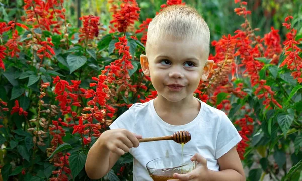 Enfant Mange Miel Dans Jardin Concentration Sélective — Photo