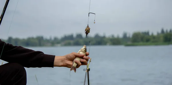 Vara Pesca Roda Closeup Homem Pesca Com Belo Nascer Sol — Fotografia de Stock