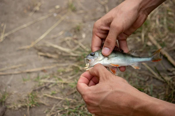 Roue Canne Pêche Gros Plan Pêche Homme Avec Beau Lever — Photo