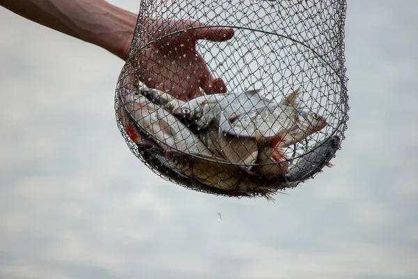 Vara Pesca Roda Closeup Homem Pesca Com Belo Nascer Sol — Fotografia de Stock