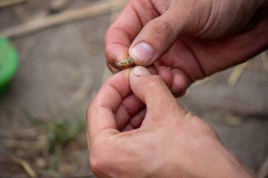 Dağın arka planında ve seçici odaklı ahşap bir şamandırada balık avı, doğa.