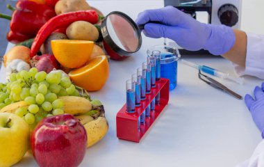 Taze meyve ve sebzeleri laboratuarda büyüteçle inceleyen kadın bir bilim adamı..