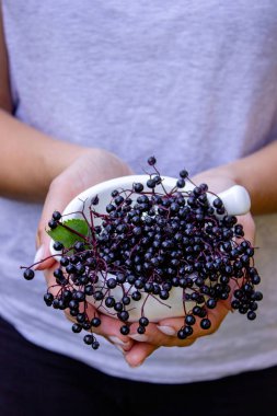 Yaşlı böğürtlen tutan kadın elleri: böğürtlen, şurup ve kapsüller. Sağlıklı beslenme