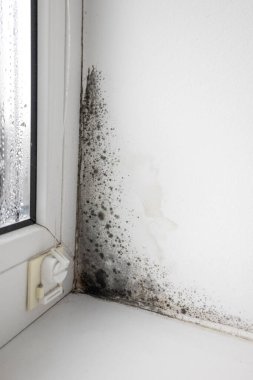 Plastik bir pencere ve pencere kenarında beyaz bir duvarın köşesinde büyüyen siyah küf..