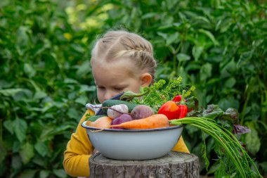 Küçük bir kız bahçeden taze toplanmış, organik sebzelerle dolu büyük bir kase tutuyor.