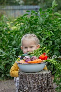 Küçük bir kız bahçeden taze toplanmış, organik sebzelerle dolu büyük bir kase tutuyor.