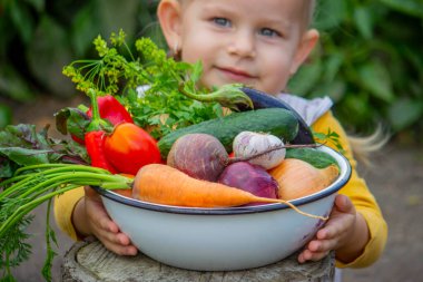 Bahçede bir kase taze organik sebze tutan küçük bir kız..