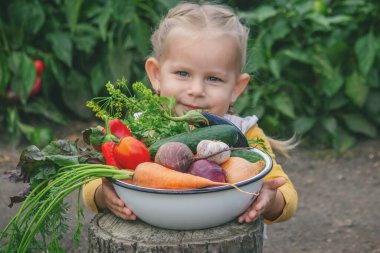 Bahçede bir kase taze organik sebze tutan küçük bir kız..