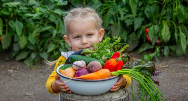 Bahçede bir kase taze organik sebze tutan küçük bir kız..