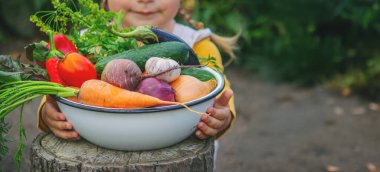 Bahçede bir kase taze organik sebze tutan küçük bir kız..