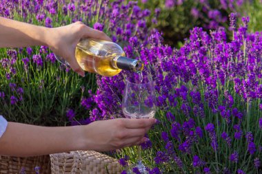 Beyaz elbiseli kadın lavanta tarlasında piknikte elinde bir bardak şarap tutuyor..