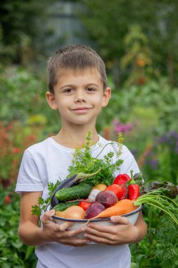 Çocuk bahçede bir kase organik sebze tutuyor. Hasat zamanı.