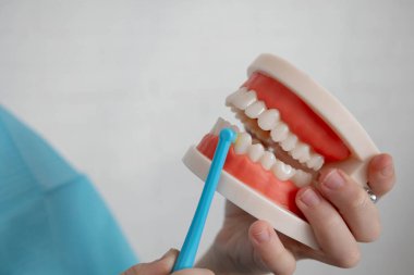 Çocuk diş fırçalama modeli, klinikte pediatrik ağız hijyeni öğreniyor..