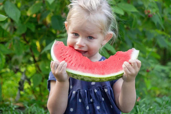 Büyük karpuz dilimli mutlu çocuk, yaz bahçesinde neşeli küçük kız.