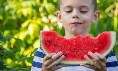 Güneşli bir günde yeşil bir bahçede taze karpuz yiyen küçük bir çocuk.