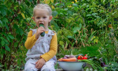 Küçük kız bahçede sebze kasesinin yanında salatalık yiyor.