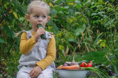Küçük kız bahçede sebze kasesinin yanında salatalık yiyor.