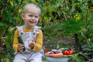 Küçük kız bahçede sebze kasesinin yanında salatalık yiyor.
