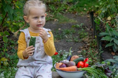 Küçük kız bahçede sebze kasesinin yanında salatalık yiyor.