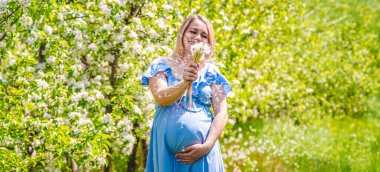 Bahçesinde karahindiba olan hamile bir kadın. Seçici odaklanma. Doğa.