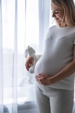 Hamile bir kadın pencereden dışarı bakar. Seçici odaklanma. İnsanlar.