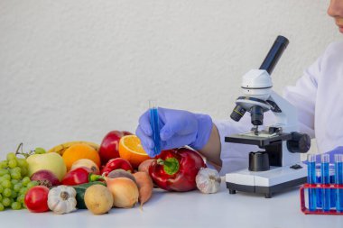 Bilim adamı mikroskop kullanarak taze sebze ve meyve kalitesini test ediyor..