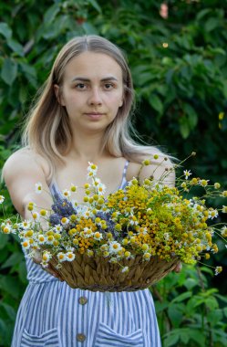 Elinde şifalı bitkiler tutan bir kadın. Seçici odak.