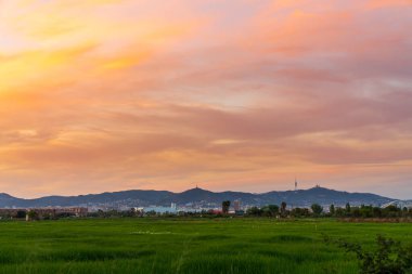 Barcelona 'daki Collserola dağında gün batımı. Llobregat deltasından.