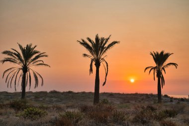 Valencia Topluluğundaki Gandia İspanya 'nın en iyi plajlarından birine sahiptir.