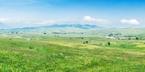 Beautiful panoramic landscape — Stock Photo, Image